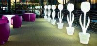All you need to know about decorative lighting All you need to know about decorative lighting